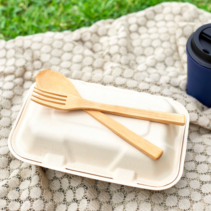 Disposable Cutlery