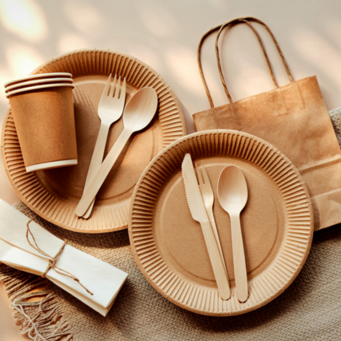 Paper plates and disposable cutlery takeaway food packaging