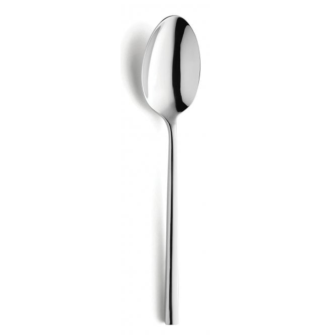Amefa Colorado Serving Spoon 18/10 | Box of 12