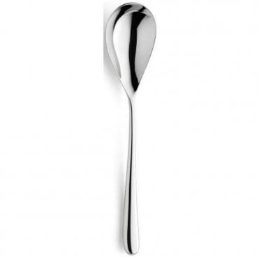 Newton Serving Spoon 18/10 | Box of 12