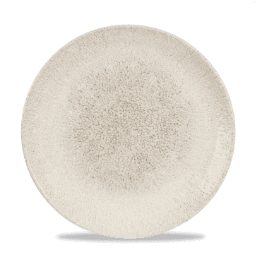 Raku Agate Grey Evolve Coupe Plate 10.25" | Box of 12