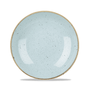 Stonecast Duck Egg Evolve Coupe Bowl 24.8cm | Box of 12