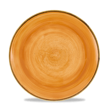 Stonecast Tangerine Evolve Coupe Plate 10.25" | Box of 12