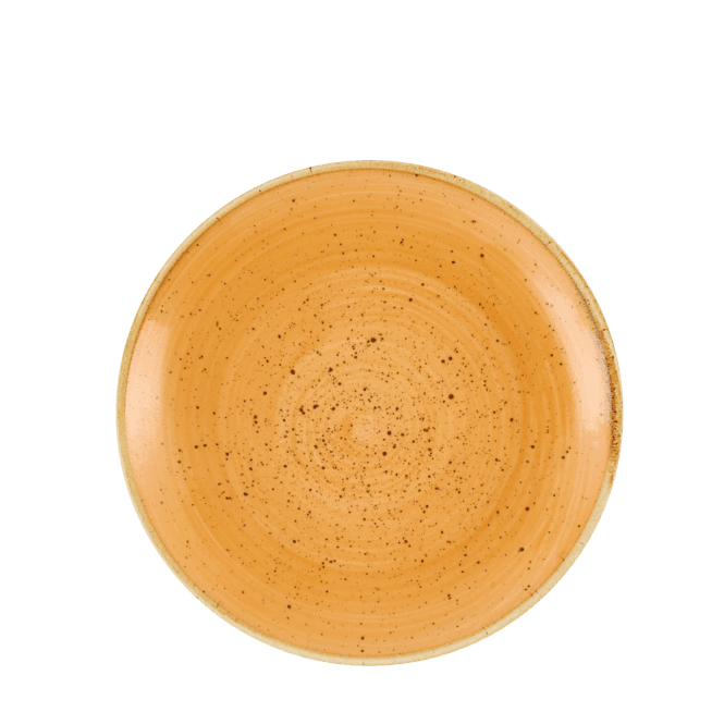 Churchill Stonecast Tangerine Evolve Coupe Plate 6.5