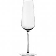 Champagne Glasses