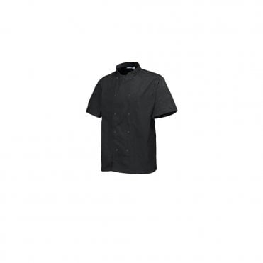 Basic Stud Jacket (Short Sleeve) Black M Size