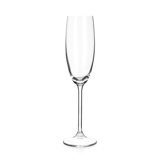 Maison Forine Veronica Champagne Flute 22cl 8oz | Box of 6