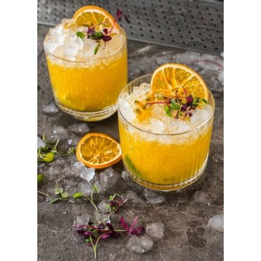 Big Top Coupe 9.5oz (24cl) | Box of 24