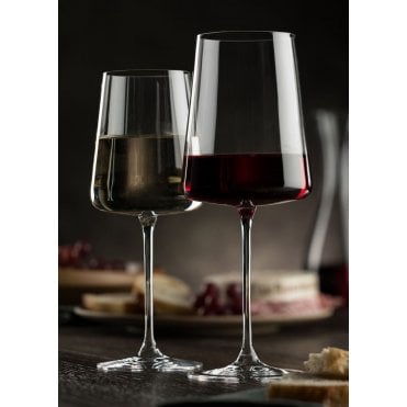 Mode 2Serve Coupe Glass 14oz (42.5cl) | Box of 6