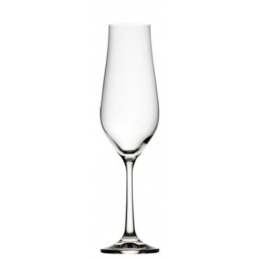 Tulipa Flute 7.75oz (22cl) | Box of 6